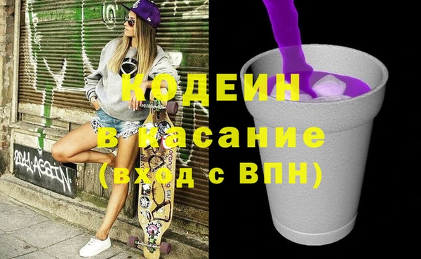 индика Богородск