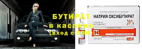 индика Богородск