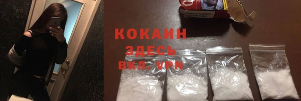 индика Богородск