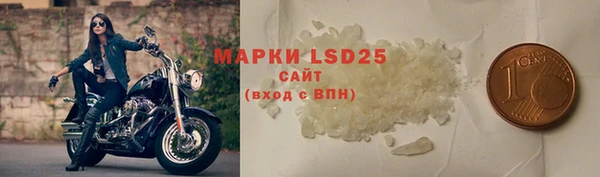дмт Богданович