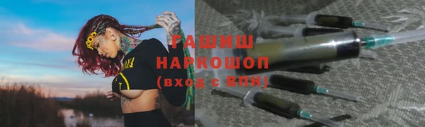 индика Богородск