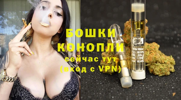 индика Богородск