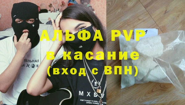 индика Богородск