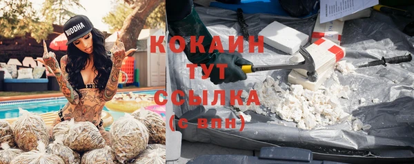 ГАЛЛЮЦИНОГЕННЫЕ ГРИБЫ Богородицк