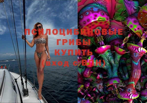 дмт Богданович