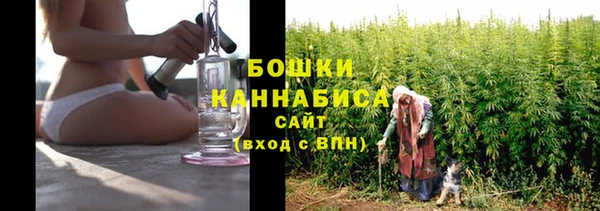 индика Богородск