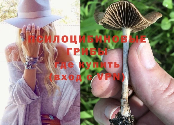 индика Богородск