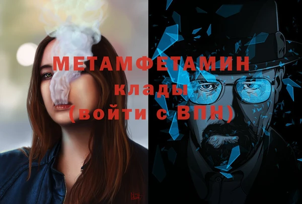 индика Богородск