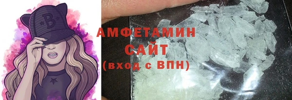 индика Богородск