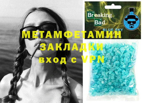 индика Богородск