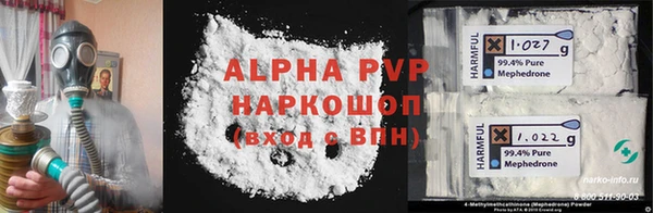 индика Богородск