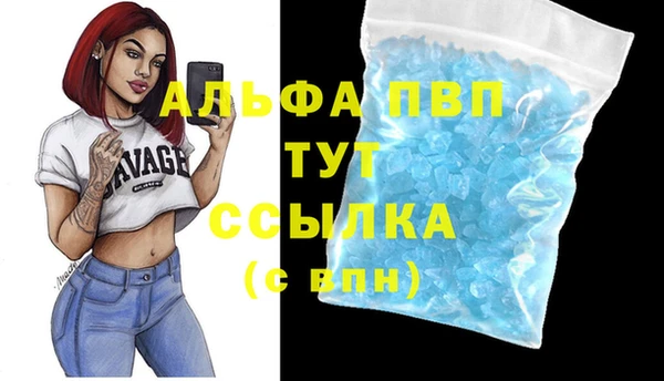 дмт Богданович